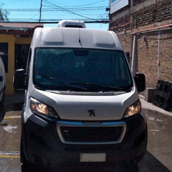 25 techo 1